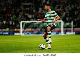 综合体育运动员伤病情况 更新影响赛季走向