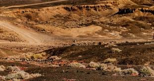 MLB》明星赛后同框对决 大谷翔平全场吞4K 菊池雄星也狂失7分本季最惨